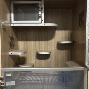 大型木製寵物籠（使用過、7成新）